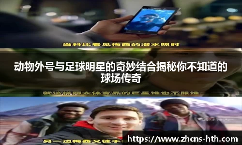 华体会体育平台